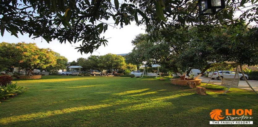 Lion Signature Family Resort